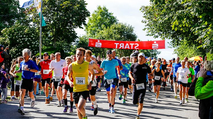 Fehmarn Marathon © Fehmarn-Echo