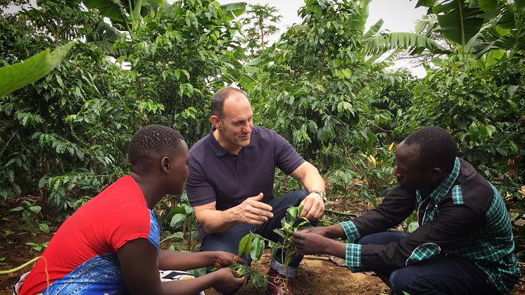 Martha och David Angomwile har fördubblat sin kaffeproduktion. Här visar de en framtidssatsning, nya plantor som kan skördas om ett till två år, för Tony Broman, Löfbergs. 