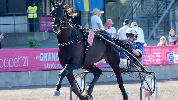 Very Kronos jagar revansch i i Hugo Åbergs Memorial. Foto: Lena Emmoth, TR Bild.