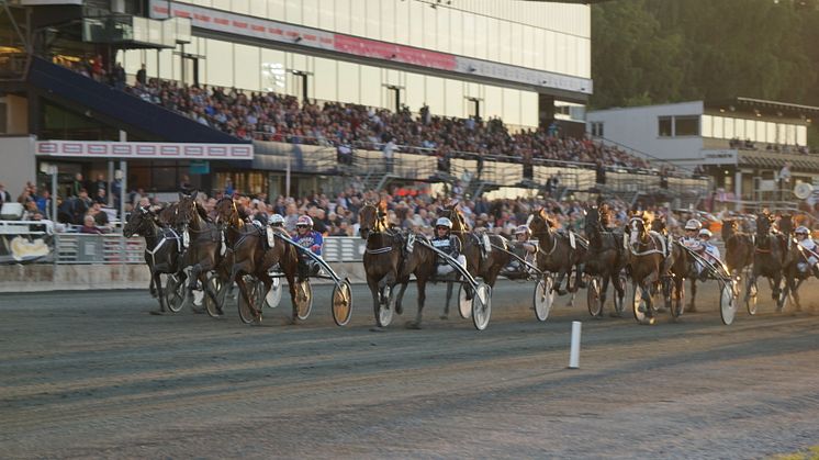 Upplopp Solvalla