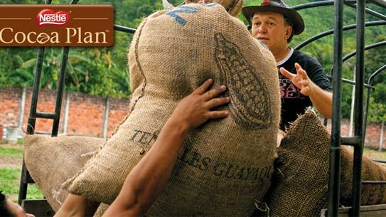 Nestlé Cocoa Plan leverer mere bæredygtig kakao