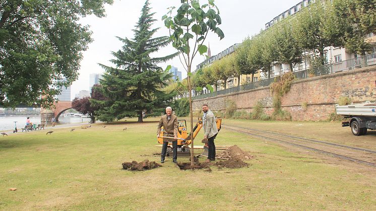 Pressefoto Zurich Baum-Pflanz-Aktion 2