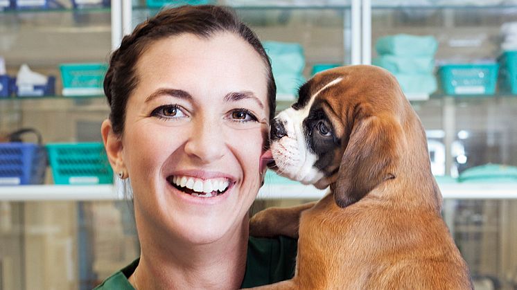 Veterinär Marie Jury tillsammans med boxervalp