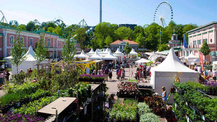 Lisebergs trädgårdsdagar 2019 äger rum 9-12 maj