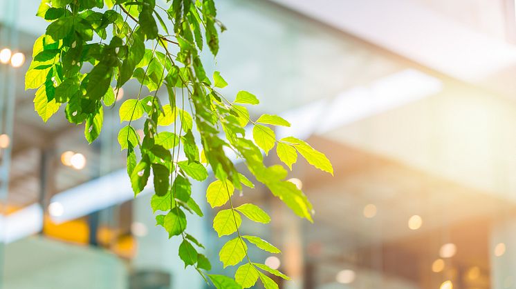 Krav på klimatdeklaration för nya byggnader fick grönt ljus