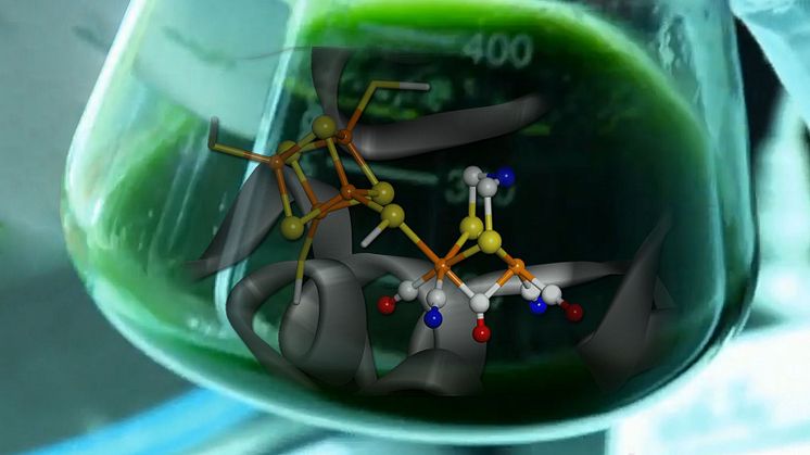 Artificiellt enzym ger bränsle från vatten 