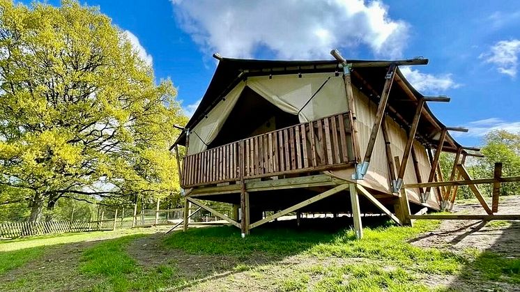 Nya glampingsatsningen ”Wild Lodge” på Skånes Djurpark går mot slutsålt innan första gästen checkat in