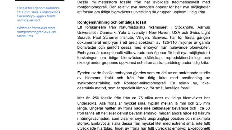 Exceptionellt bevarade embryon i fossila blomfrön