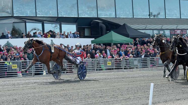 Queer Fish spurtar hem Sweden Cup 2019. Foto: Lars Jakobsson/TR Bild