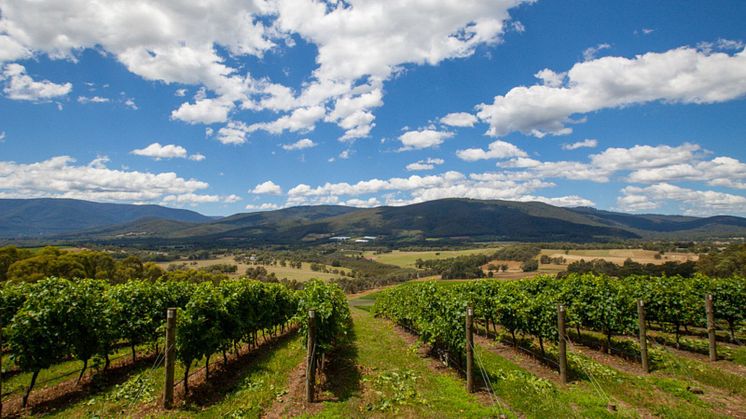 Tillfällig lansering av Gigant Steps Applejack Vineyard pinot noir och Giant Steps Yarra Valley  chardonnay 2022