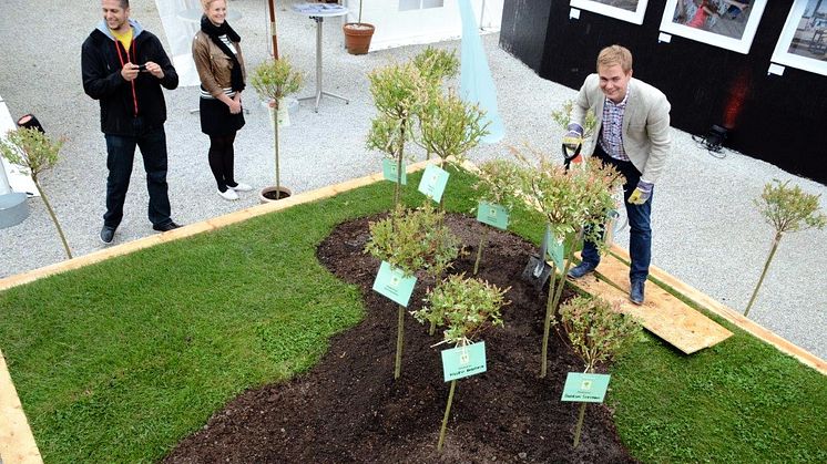 Gustav Fridolin planterar träd i Almedalen 