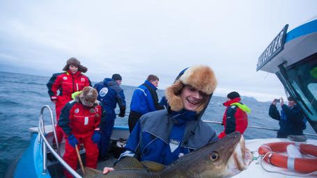  Norsk Skrei – huvudråvara i Årets Kock 2014