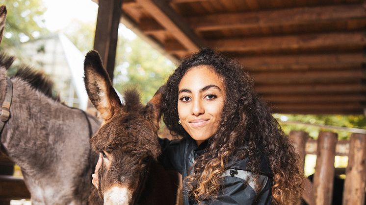 21 beendet das Markenjahr im Tierreich