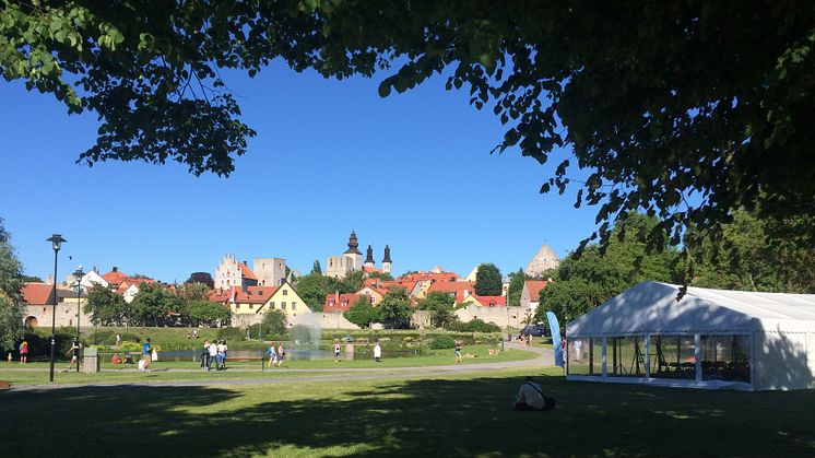 Boehringer Ingelheims aktiviteter i Almedalen 2018