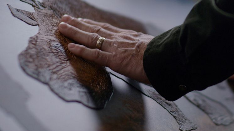 Bilde av en hånd med giftering i gull der fingertuppene hviler forsiktig på et taktilt bilde av et neshorn som er skrevet ut på en flat, hvit bakgrunn. Formen på dyret er i relieff, og de ulike teksturene i huden vises tydelig.