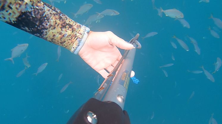 Hi-res image - ACR Electronics - GoPro footage of the fishermen spearfishing on the day of the rescue