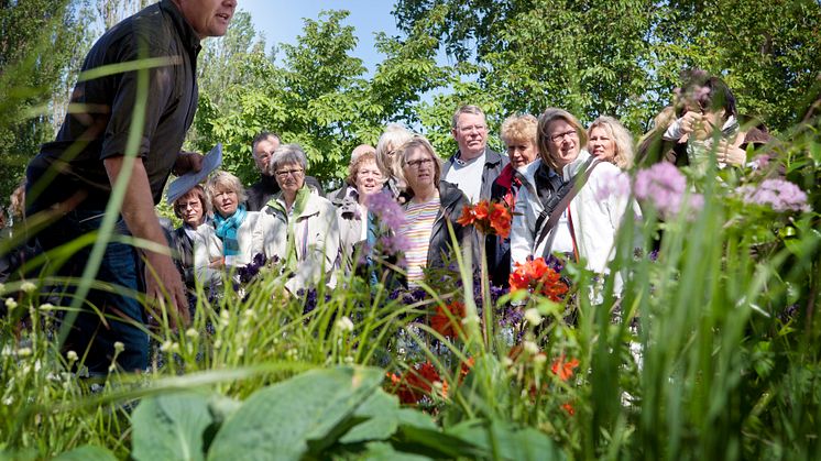 Malmö Garden Show