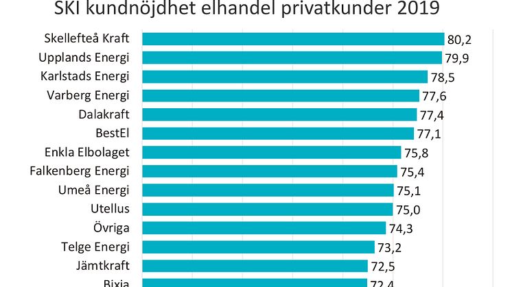 SKI elhandel privat 2019