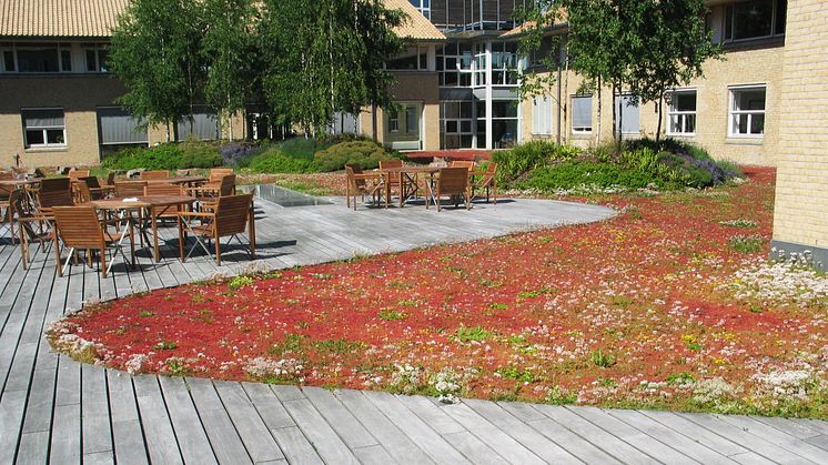 Nordic Waterproofings förvärv av Veg Tech AB är genomfört