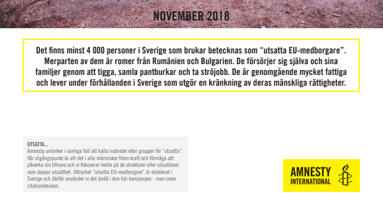 Amnestys rapport "Sverige: ett iskallt bemötande "
