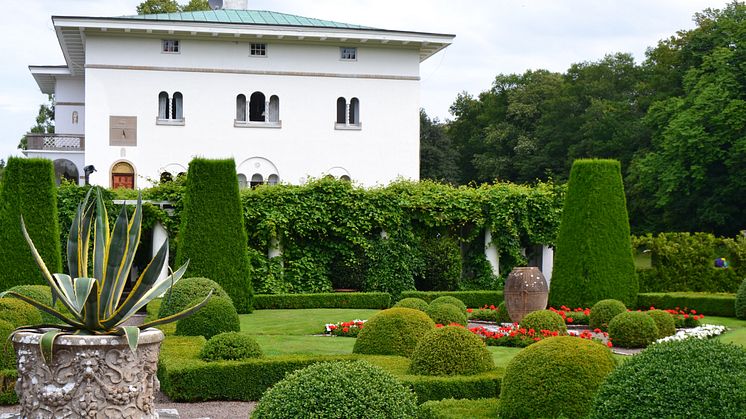 Finjamur bildar kunglig trädgård 