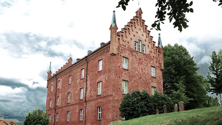 Roggebibliotekets  skatter