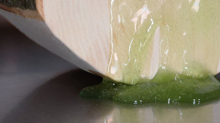 Syntolkning: Närbild av skulpturen Lip Retractor med grön vätska som rinner på en vitlaserat trä
