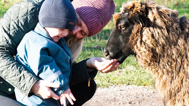 Skånes Djurpark håller öppet 20-28 februari med sportlovsaktiviteter för hela familjen.