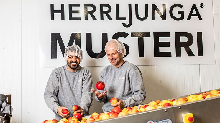 Mostafa "Musse" Heravi och Johan Branmark i havet av äpplen