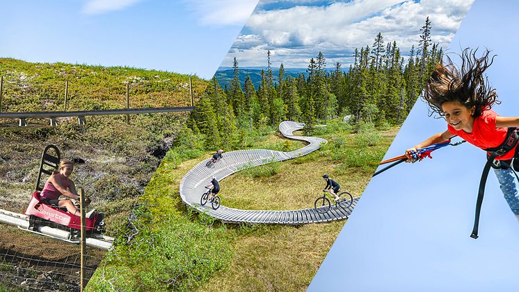 Summer‘s new attractions at SkiStar Trysil and Hemsedal: Mountain Coaster, Mountain Tube and plenty of cycling news for the whole family