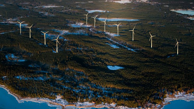 Vindkraft från Hörnefors utanför Umeå. Fotograf Klas Sjöberg