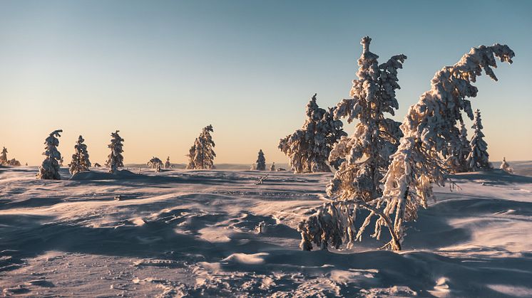 Sälen snö januari 2021