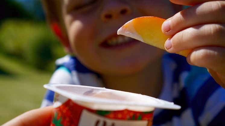 Frukt med Safari barneyoghurt som dip