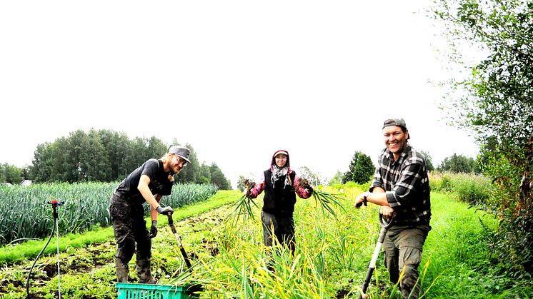 Biodynamischer Hof Rekola, Finnland (Foto: Sektion für Landwirtschaft am Goetheanum)