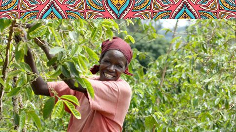 8 av 10 vet inte att kaffet håller på att ta slut - Zoégas hjälper kvinnliga odlare till ledande positioner för kaffets framtid