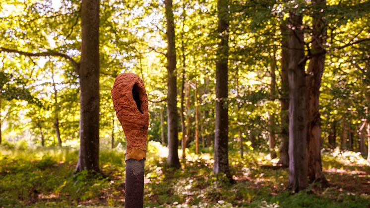 Dolmen_Pettersen-3