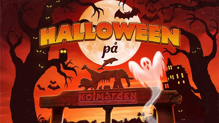 Evenemangstips - Rysmysig Halloween på Kolmården