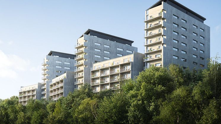 Aktiv upphandling kan ge liknande klimatpåverkan från stommar av betong och trä