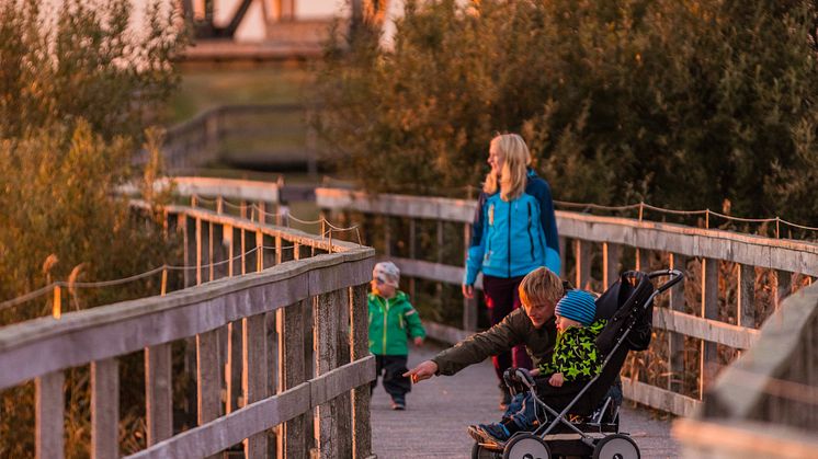 Fågeludden, Hornborgasjön. Foto: Jesper Anhede