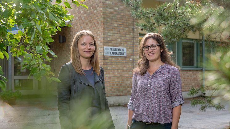 Regina Gratz och Zsofia Reka Stangl, Sveriges lantbruksuniversitet, Umeå, ingår i samma forskargrupp som professor Torgny Näsholm, mottagare av Marcus Wallenbergpriset  2018.