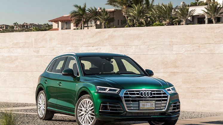 Audi Q5 Azores green