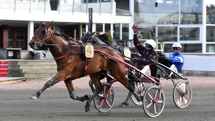 Délia du Pommereux vann Paralympiatravet 2021. Kan hon försvara sin titel i år? Foto: Malin Albinsson/TR-Bild