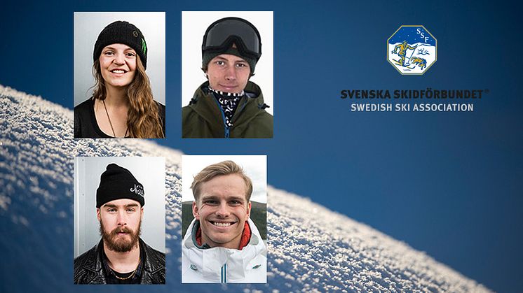 Emma Dahlström, Oliwer Magnusson, Niklas Mattsson och Felix Elofsson.