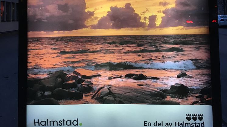 Cityutställning från Destination Halmstads Instagram-konto.