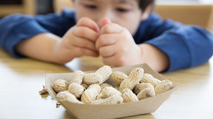 New partnership to develop treatment for peanut allergies