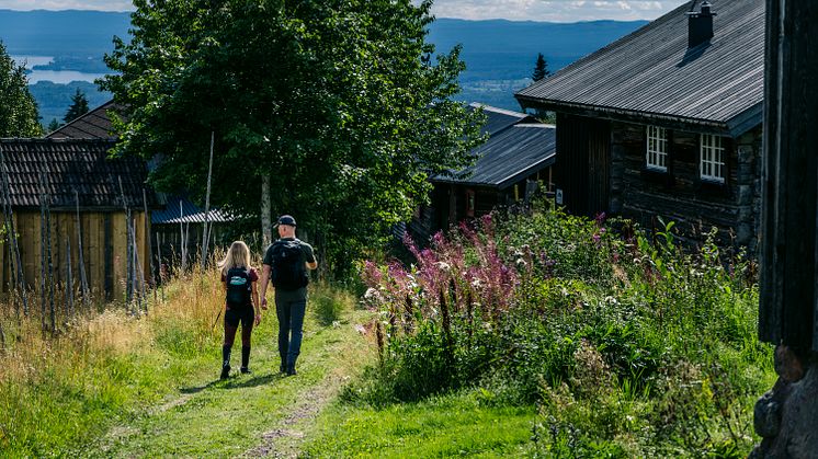 HikingFryksas_fotoPerHagdahl_VisitDalarna