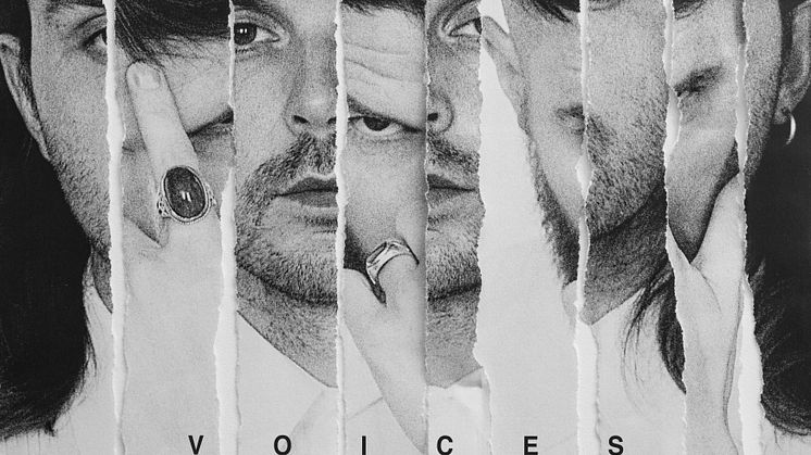 voicescover2