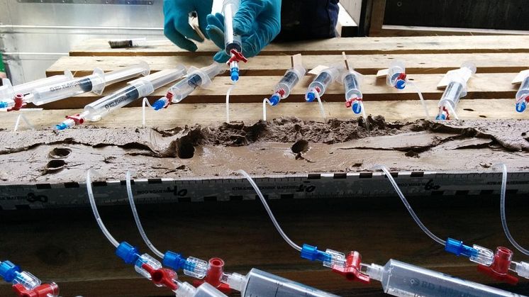 Collection of porefluid from sediment core for geochemical analysis, collected with so-called Rhizon samplers, during Centre of Geobiology expedition 2015. Photo Credit: Michael Melcher