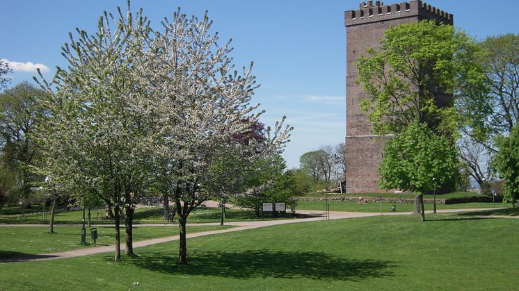 Hur kan vi tillsammans förbättra Slottshagen?