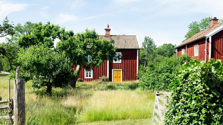 Boneo: färre tror på lägre bostadspriser i sommar